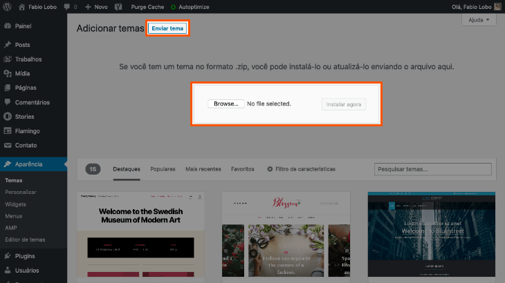 printscreen de instalação de tema
