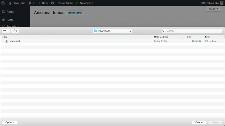 printscreen de instalação de tema