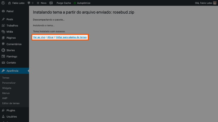 printscreen de instalação de tema